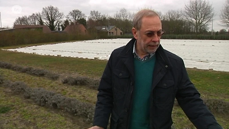 Ondernemen na 65 jaar, willen maar niet durven?