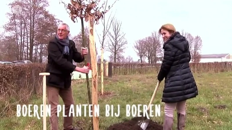 Boeren planten bij boeren