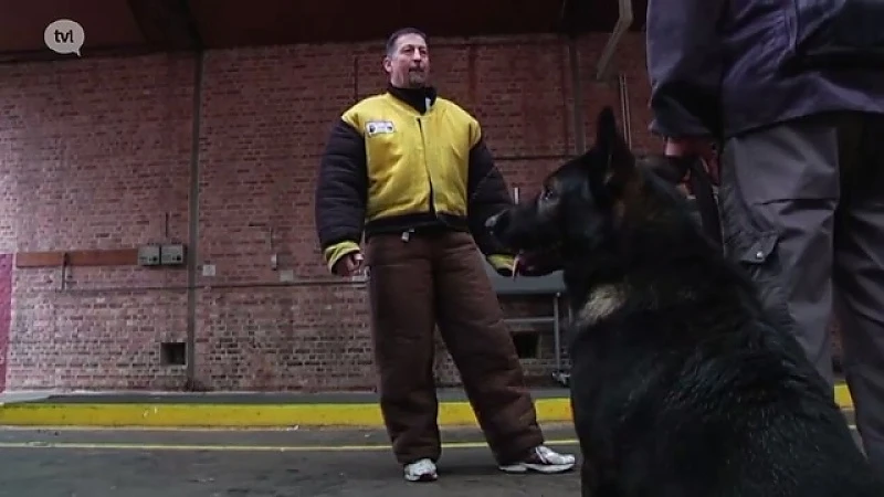 PLOT test honden van veiligheidsfirma's op gehoorzaamheid