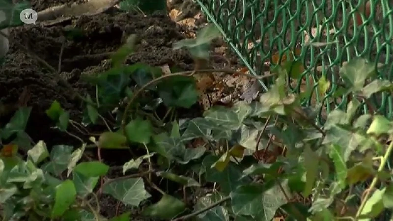 Volwassenenonderwijs afl 14: Land- en tuinbouw