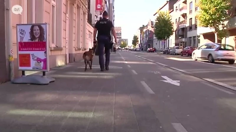 Stad Hasselt heeft actieplan om stationsbuurt leefbaar te maken