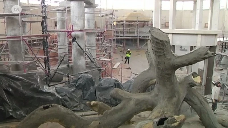 Eerste blik in Beringse duiktoren