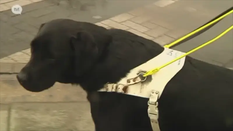 180 meter koperdraad gestolen in het Belgisch Centrum voor Geleidehonden in Tongeren