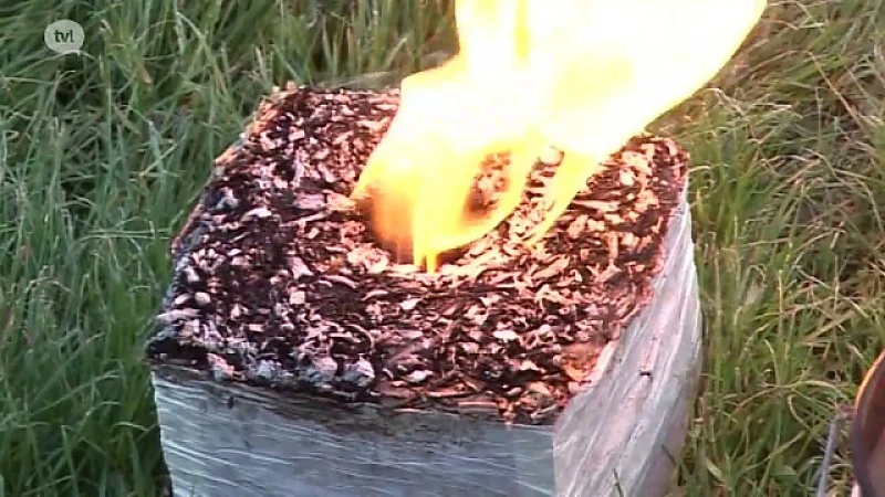 Haspencubes tegen nachtvorst