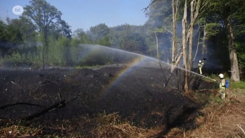 Verschillende korpsen uitgerukt voor bosbrand in Voeren