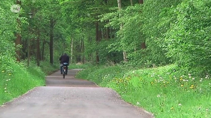 Exhibitionist teistert Ham