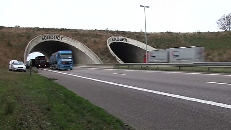 Dilsen-Stokkem krijgt ecoduct dat ook door fietsers en wandelaars gebruikt kan worden