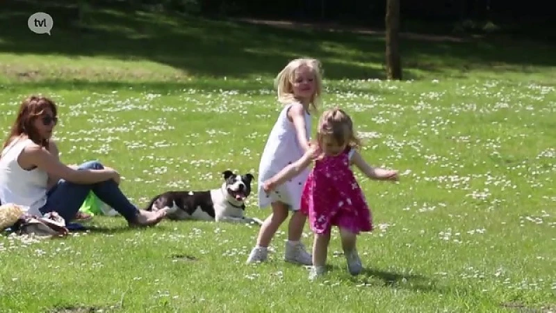 Zomerse picknick