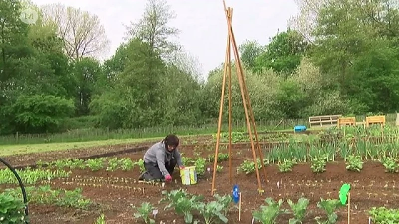 Eco-tuinieren in de kijker tijdens eco-tuindagen