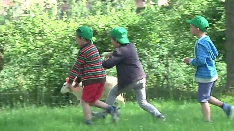 Fan van Limburg: 19 mei 2016