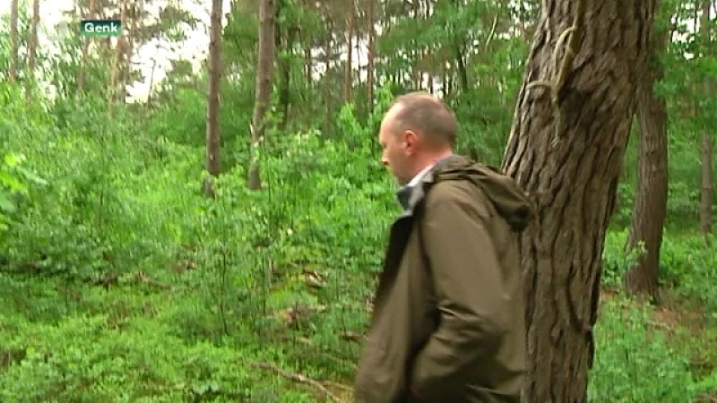 Exclusieve rondleiding in het Essersbos: waardevol natuurgebied of waardeloos braakland?