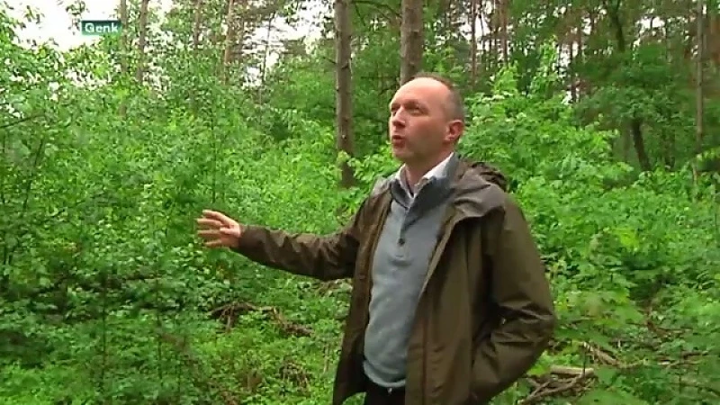 Exclusieve rondleiding in het Essersbos: waardevol natuurgebied of waardeloos braakland?