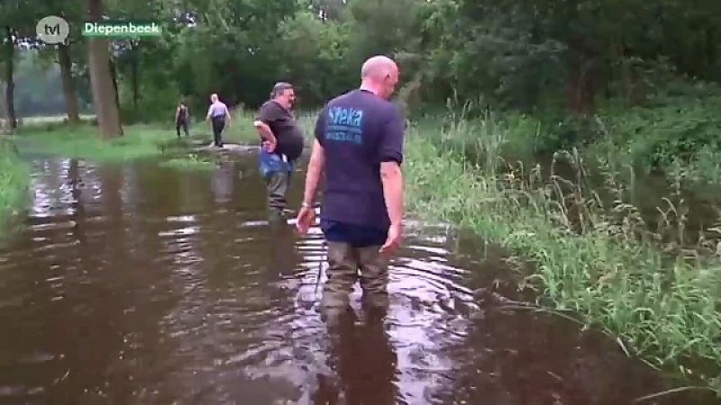 Zondag ontsnapte vissen vangen in Diepenbeek