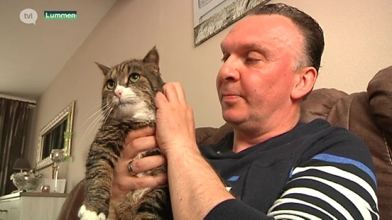 Wie vergiftigt honden en katten in Lummen?