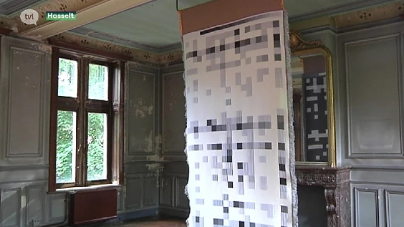 Spraakmakende expo in CIAP Hasselt