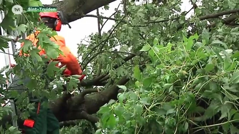 Stormweer: Wellen en Sint-Truiden ruimen nog steeds puin