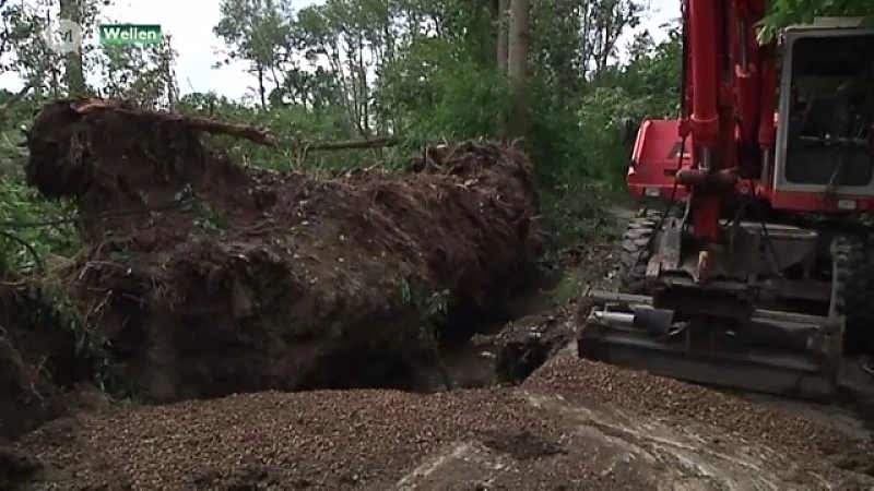 Stormschade: nu pas weer stroom in Wellen
