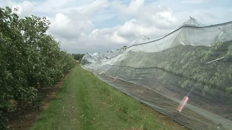 "Familie, vrienden en vrijwilligers mogen landbouwschade helpen opruimen"