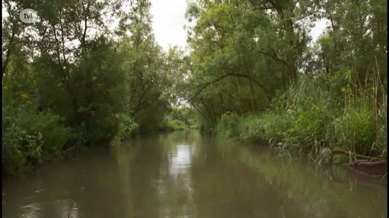 Ontdek Nederland: Dordrecht & Biesbosch