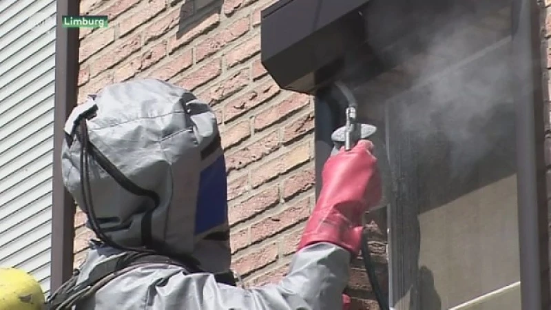 Minder wespen dit jaar
