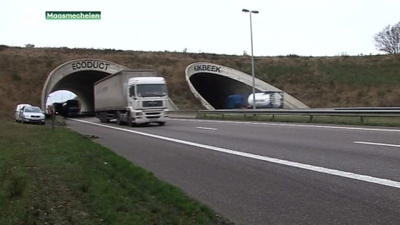 Minder ongevallen met dieren dankzij ecoduct op E314