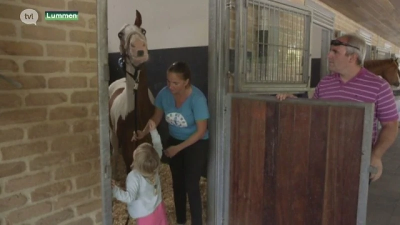 Lummense paardenchirurg redt verminkt paard