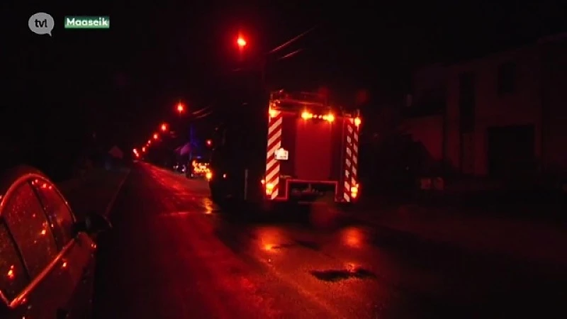 Brandweer redt paard uit zwembad in Maasmechelen