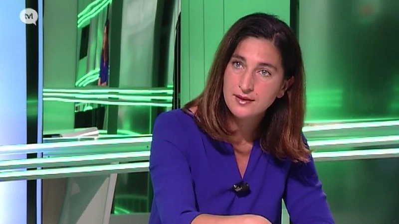 "Vlaming moet de hand uitsteken, maar allochtone buur ook"