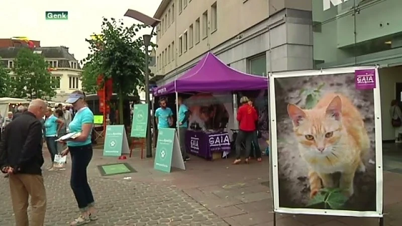 GAIA voert campagne tegen proeven op honden en katten