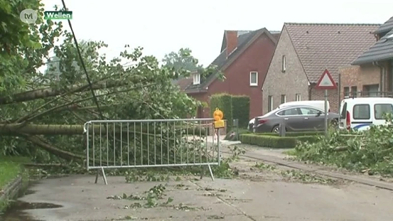 Storm richt voor 11 miljoen euro schade aan in Wellen
