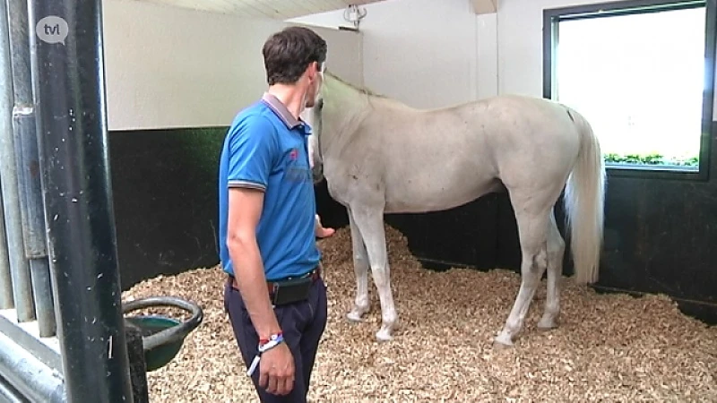 Tan en Philippaerts uitgeschakeld in Rio, Soccol 74ste op de marathon