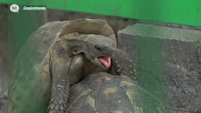 Exclusieve blik achter de schermen van het Natuurhulpcentrum
