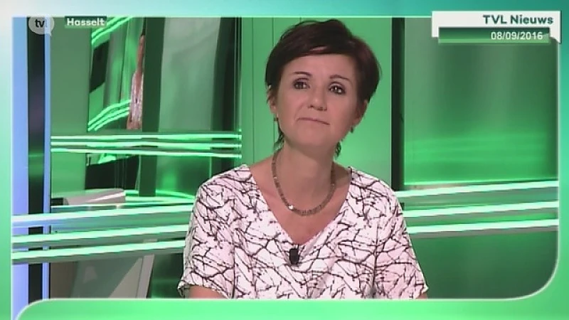 Ontslag Hilde Claes inzet van onderhandelingen tussen sp.a en CD&V in Limburg