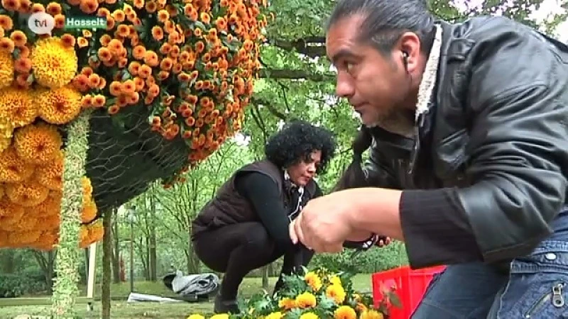 Chrysantenfestival in Japanse tuin in Hasselt