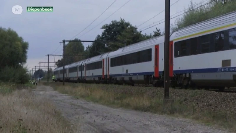 Trein rijdt hond aan in Diepenbeek. Treinverkeer onderbroken.