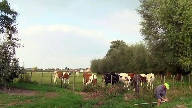 CVBB geeft landbouwers mestadvies