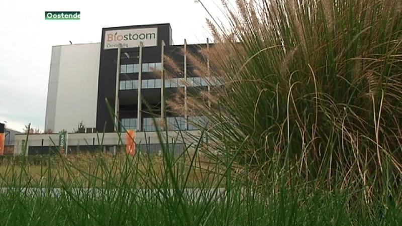 Zo gaat de nieuwe biostoomcentrale in Beringen er uitzien