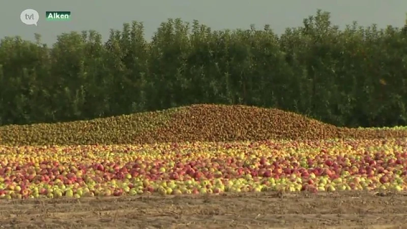 Fruitboer in Alken stort veld vol peren en appelen