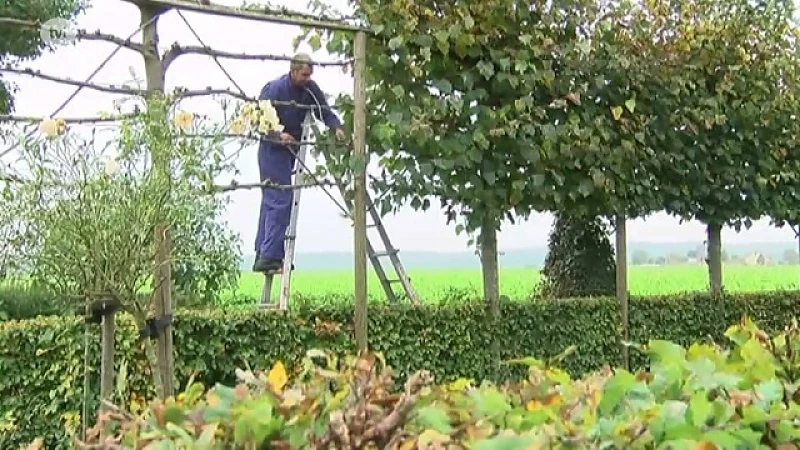 Een dag op de zorgboerderij