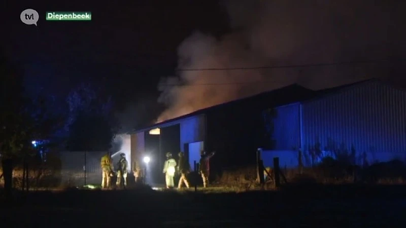Hele nacht blussen voor stalbrand in Diepenbeek