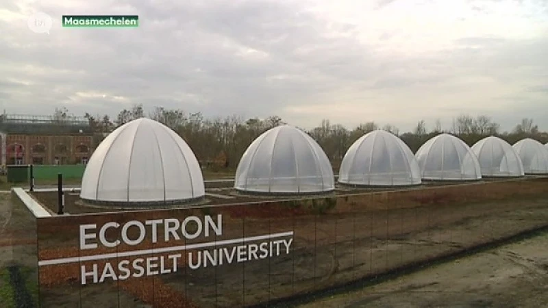 Wakker op Zondag tijdens Dag Van De Wetenschap vanuit Ecotron