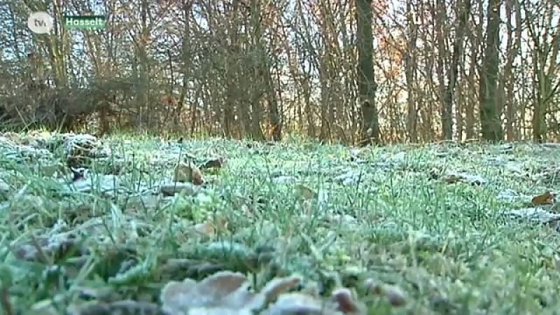 De winter doet zijn intrede: heel de week bibberkoud