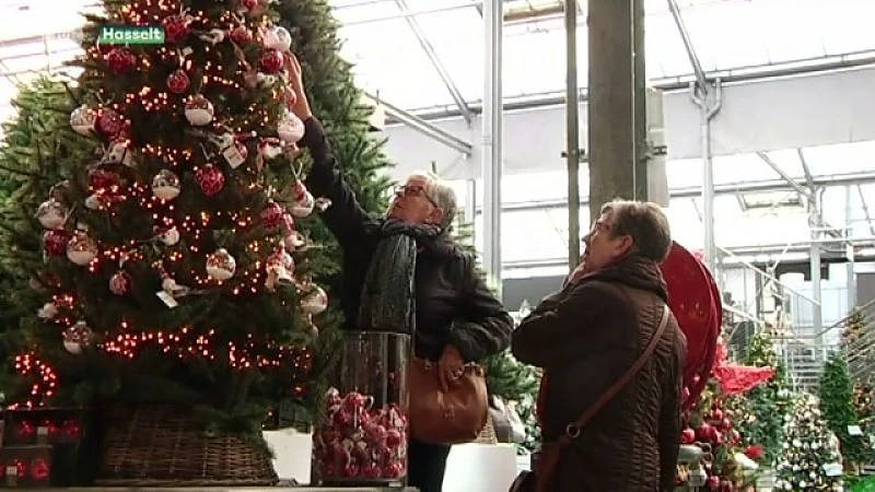 Rush op kerstbomen is begonnen