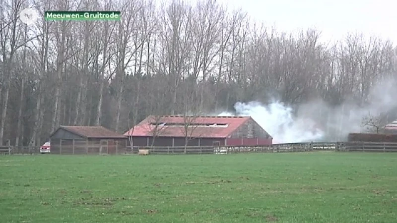 Loods brandt uit in Meeuwen-Gruitrode