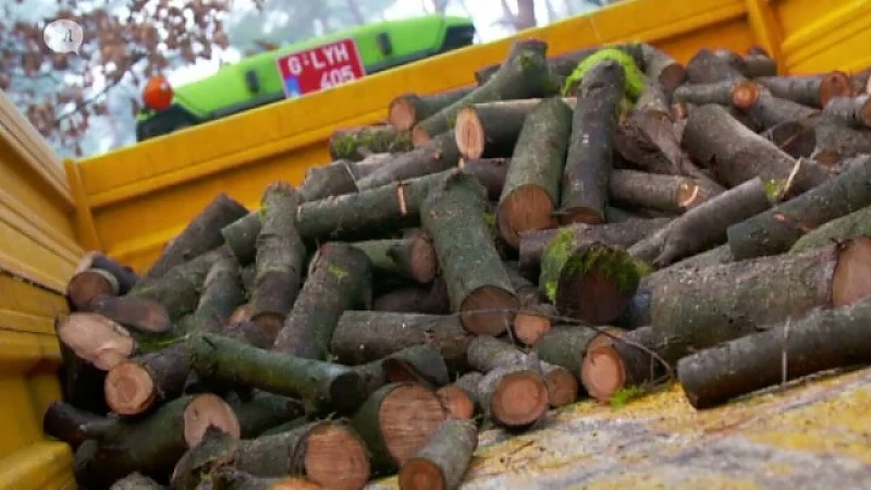 Hout tegen kinderarmoede