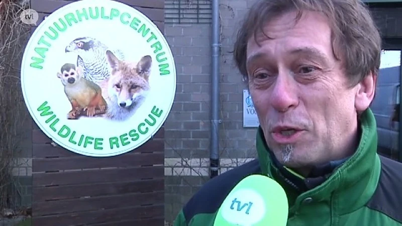 Bekend Limburg wenst u een gelukkig nieuwjaar