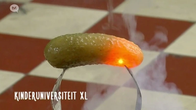 Kinderuniversiteit XL