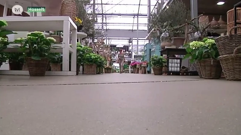 Plantencentrum Thomas in Hasselt definitief dicht op maandag na klacht van concurrent