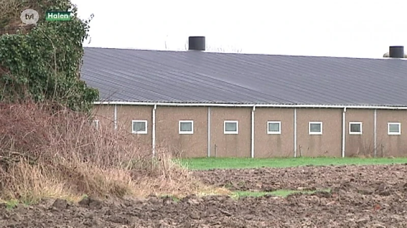Negatief advies schepencollege voor uitbreiding varkensboer Halen
