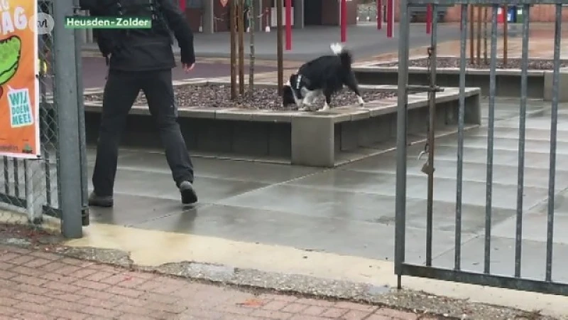 Politie ontruimt lagere school in Heusden-Zolder na bommelding